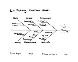 Fishbone model of lip picking. A causal model that looks like a fish skeleton with big categories of people, method, measurement, machine, environment, materials and smaller bones representing individual factors: partner away vs. on phone, absentminded, determined, no self-control, unconvincing consequences, hands-free entertainment, cold, dry, alone, boring meetings, no lip balm, long nails, no ring (with a question mark). All these factors feed into lip picking, located where the fish skull would be.